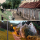 The same street, pictured in 1910 (above) and then in 2013 (below).